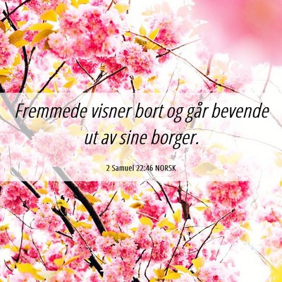Picture 06 - 2 Samuel 22:46 NORSK - Fremmede visner bort og går bevende ut av sine - Bible Verse Picture