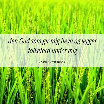 Picture 06 - 2 Samuel 22:48 NORSK - den Gud som gir mig hevn og legger folkeferd - Bible Verse Picture