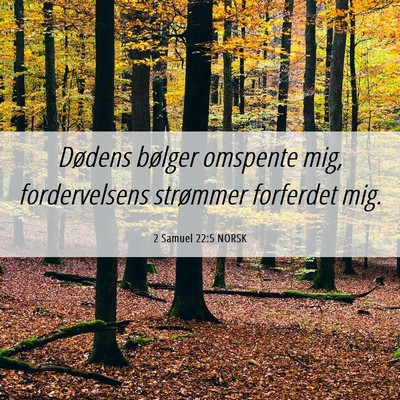 Picture 06 - 2 Samuel 22:5 NORSK - Dødens bølger omspente mig, fordervelsens - Bible Verse Picture