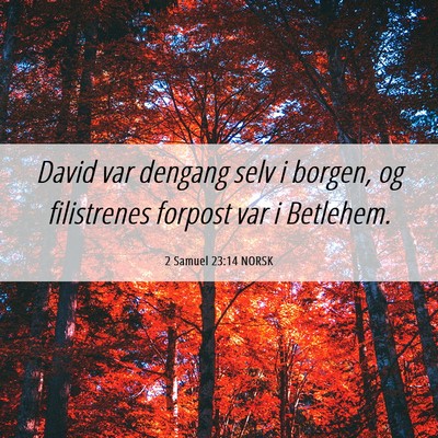 Picture 06 - 2 Samuel 23:14 NORSK - David var dengang selv i borgen, og filistrenes - Bible Verse Picture