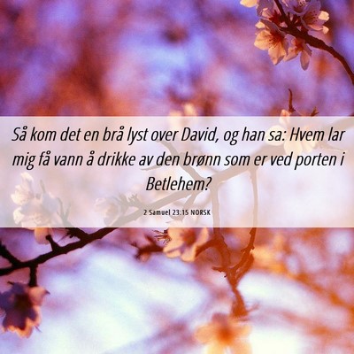 Picture 06 - 2 Samuel 23:15 NORSK - Så kom det en brå lyst over David, og han sa: - Bible Verse Picture