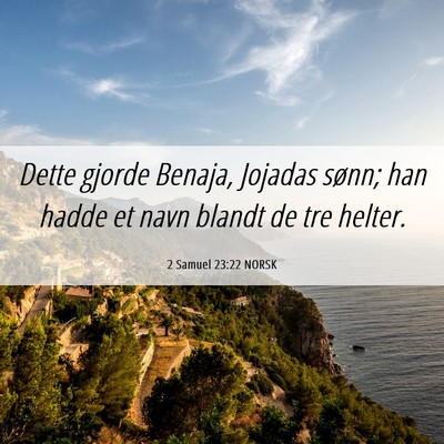 Picture 06 - 2 Samuel 23:22 NORSK - Dette gjorde Benaja, Jojadas sønn; han hadde et - Bible Verse Picture