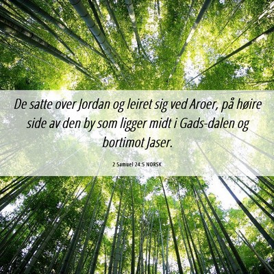 Picture 06 - 2 Samuel 24:5 NORSK - De satte over Jordan og leiret sig ved Aroer, på - Bible Verse Picture