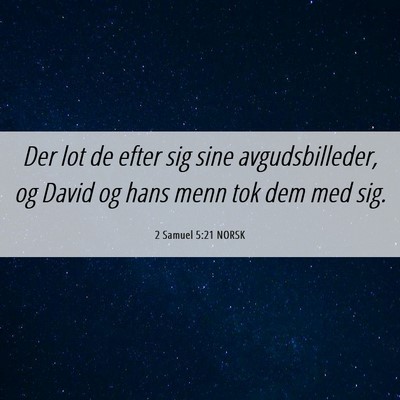 Picture 06 - 2 Samuel 5:21 NORSK - Der lot de efter sig sine avgudsbilleder, og - Bible Verse Picture