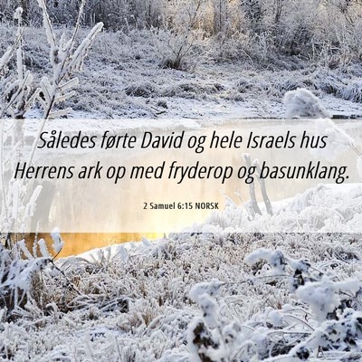 Picture 06 - 2 Samuel 6:15 NORSK - Således førte David og hele Israels hus Herrens - Bible Verse Picture