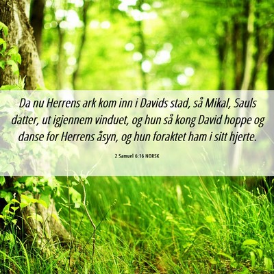 Picture 06 - 2 Samuel 6:16 NORSK - Da nu Herrens ark kom inn i Davids stad, så - Bible Verse Picture