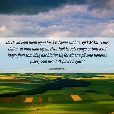 Picture 06 - 2 Samuel 6:20 NORSK - Da David kom hjem igjen for å velsigne sitt hus, - Bible Verse Picture