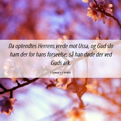 Picture 06 - 2 Samuel 6:7 NORSK - Da optendtes Herrens vrede mot Ussa, og Gud slo - Bible Verse Picture