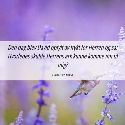 Picture 06 - 2 Samuel 6:9 NORSK - Den dag blev David opfylt av frykt for Herren og - Bible Verse Picture