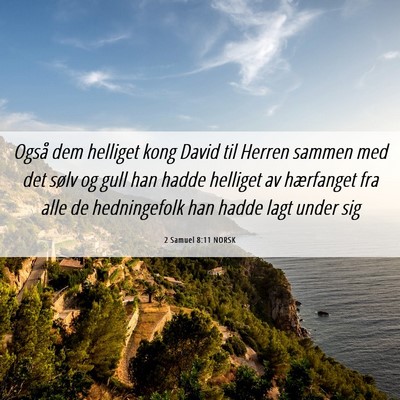 Picture 06 - 2 Samuel 8:11 NORSK - Også dem helliget kong David til Herren sammen - Bible Verse Picture