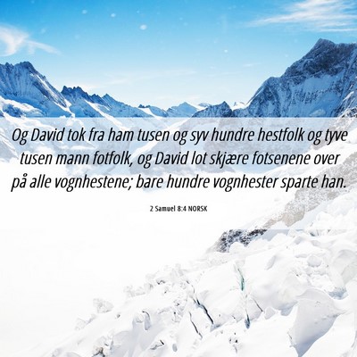 Picture 06 - 2 Samuel 8:4 NORSK - Og David tok fra ham tusen og syv hundre hestfolk - Bible Verse Picture