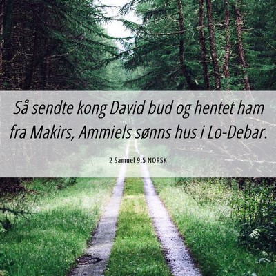Picture 06 - 2 Samuel 9:5 NORSK - Så sendte kong David bud og hentet ham fra - Bible Verse Picture