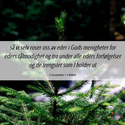 Picture 06 - 2 Tessaloniker 1:4 NORSK - så vi selv roser oss av eder i Guds menigheter - Bible Verse Picture