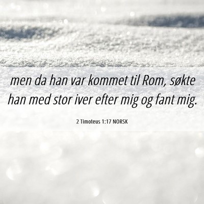 Picture 06 - 2 Timoteus 1:17 NORSK - men da han var kommet til Rom, søkte han med - Bible Verse Picture