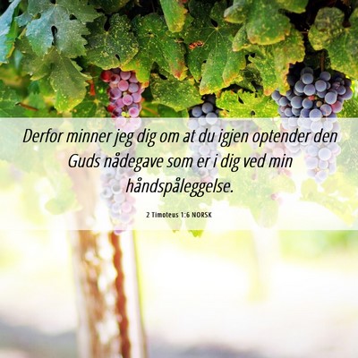 Picture 06 - 2 Timoteus 1:6 NORSK - Derfor minner jeg dig om at du igjen optender den - Bible Verse Picture