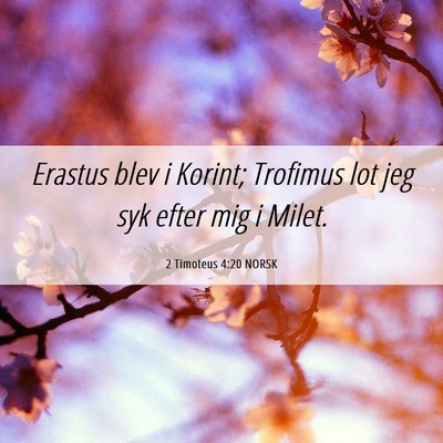 Picture 06 - 2 Timoteus 4:20 NORSK - Erastus blev i Korint; Trofimus lot jeg syk efter - Bible Verse Picture