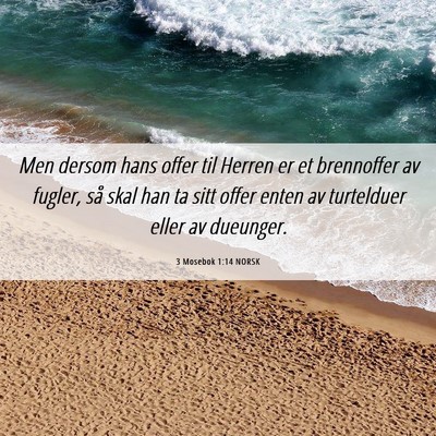 Picture 06 - 3 Mosebok 1:14 NORSK - Men dersom hans offer til Herren er et brennoffer - Bible Verse Picture