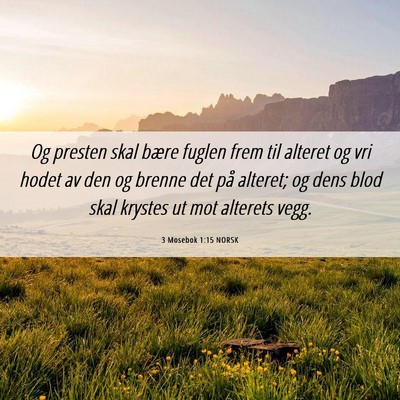 Picture 06 - 3 Mosebok 1:15 NORSK - Og presten skal bære fuglen frem til alteret og - Bible Verse Picture