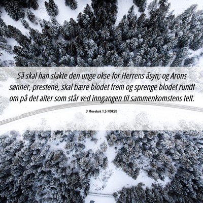 Picture 06 - 3 Mosebok 1:5 NORSK - Så skal han slakte den unge okse for Herrens - Bible Verse Picture