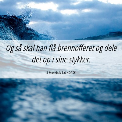 Picture 06 - 3 Mosebok 1:6 NORSK - Og så skal han flå brennofferet og dele det op - Bible Verse Picture