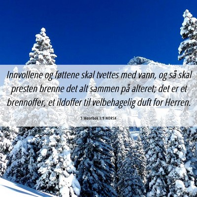 Picture 06 - 3 Mosebok 1:9 NORSK - Innvollene og føttene skal tvettes med vann, og - Bible Verse Picture