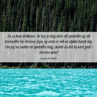 Picture 06 - 3 Mosebok 10:19 NORSK - Da sa Aron til Moses: De har jo idag ofret sitt - Bible Verse Picture