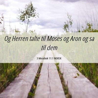 Picture 06 - 3 Mosebok 11:1 NORSK - Og Herren talte til Moses og Aron og sa til - Bible Verse Picture