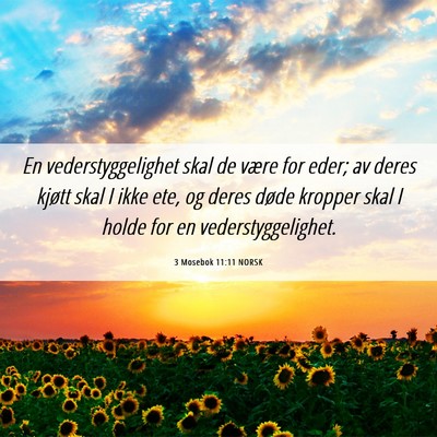Picture 06 - 3 Mosebok 11:11 NORSK - En vederstyggelighet skal de være for eder; av - Bible Verse Picture