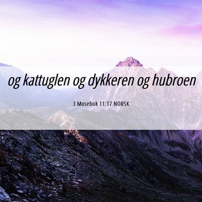 Picture 06 - 3 Mosebok 11:17 NORSK - og kattuglen og dykkeren og - Bible Verse Picture
