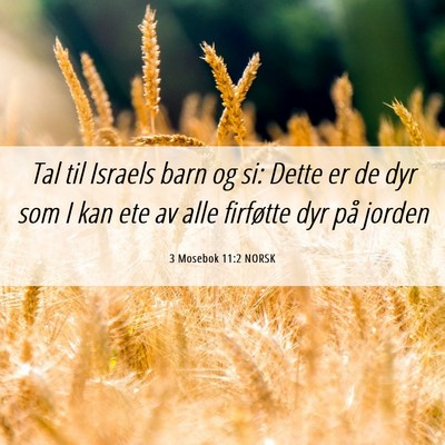 Picture 06 - 3 Mosebok 11:2 NORSK - Tal til Israels barn og si: Dette er de dyr som I - Bible Verse Picture