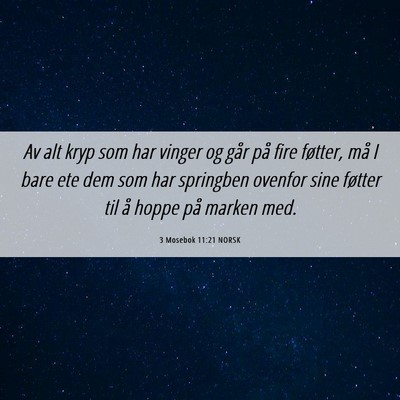 Picture 06 - 3 Mosebok 11:21 NORSK - Av alt kryp som har vinger og går på fire - Bible Verse Picture
