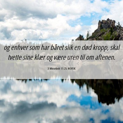 Picture 06 - 3 Mosebok 11:25 NORSK - og enhver som har båret slik en død kropp, skal - Bible Verse Picture