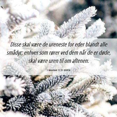 Picture 06 - 3 Mosebok 11:31 NORSK - Disse skal være de ureneste for eder blandt alle - Bible Verse Picture