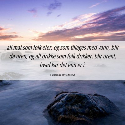 Picture 06 - 3 Mosebok 11:34 NORSK - all mat som folk eter, og som tillages med vann, - Bible Verse Picture