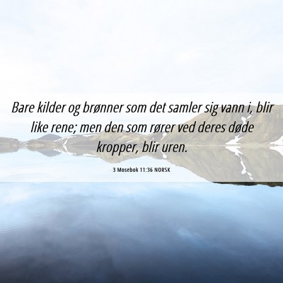 Picture 06 - 3 Mosebok 11:36 NORSK - Bare kilder og brønner som det samler sig vann - Bible Verse Picture