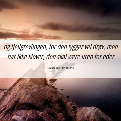 Picture 06 - 3 Mosebok 11:5 NORSK - og fjellgrevlingen, for den tygger vel drøv, men - Bible Verse Picture
