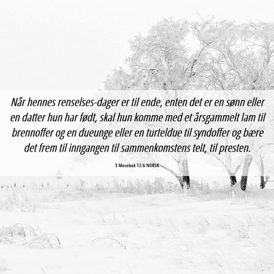 Picture 06 - 3 Mosebok 12:6 NORSK - Når hennes renselses-dager er til ende, enten - Bible Verse Picture