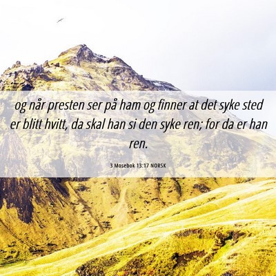 Picture 06 - 3 Mosebok 13:17 NORSK - og når presten ser på ham og finner at det syke - Bible Verse Picture