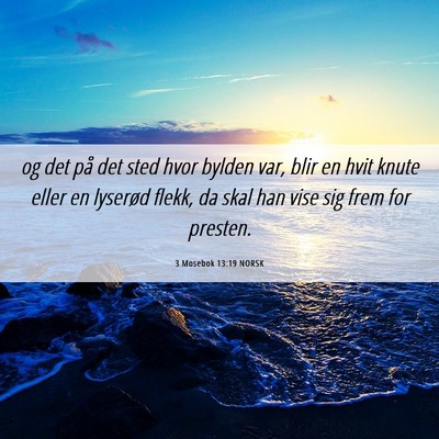 Picture 06 - 3 Mosebok 13:19 NORSK - og det på det sted hvor bylden var, blir en hvit - Bible Verse Picture