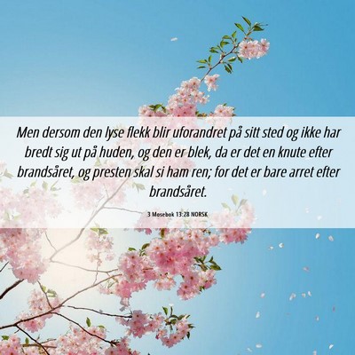 Picture 06 - 3 Mosebok 13:28 NORSK - Men dersom den lyse flekk blir uforandret på - Bible Verse Picture