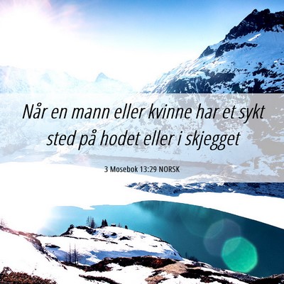 Picture 06 - 3 Mosebok 13:29 NORSK - Når en mann eller kvinne har et sykt sted på - Bible Verse Picture