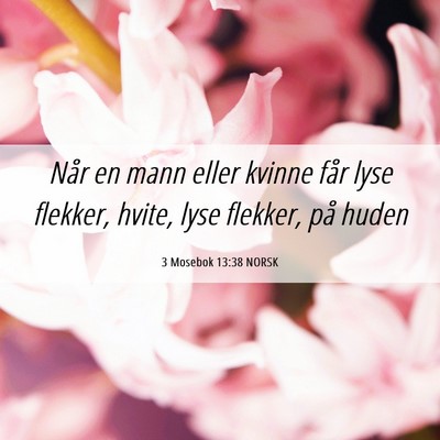 Picture 06 - 3 Mosebok 13:38 NORSK - Når en mann eller kvinne får lyse flekker, - Bible Verse Picture