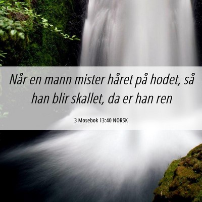 Picture 06 - 3 Mosebok 13:40 NORSK - Når en mann mister håret på hodet, så han - Bible Verse Picture