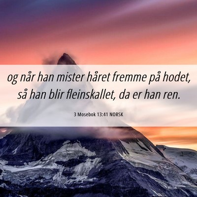 Picture 06 - 3 Mosebok 13:41 NORSK - og når han mister håret fremme på hodet, så - Bible Verse Picture