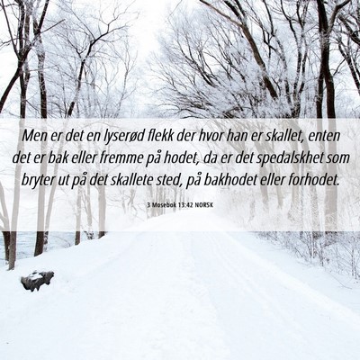 Picture 06 - 3 Mosebok 13:42 NORSK - Men er det en lyserød flekk der hvor han er - Bible Verse Picture