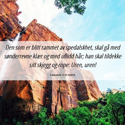 Picture 06 - 3 Mosebok 13:45 NORSK - Den som er blitt rammet av spedalskhet, skal gå - Bible Verse Picture