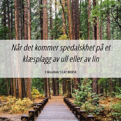 Picture 06 - 3 Mosebok 13:47 NORSK - Når det kommer spedalskhet på et klæsplagg av - Bible Verse Picture
