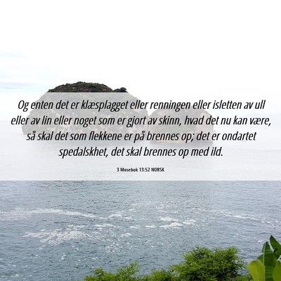 Picture 06 - 3 Mosebok 13:52 NORSK - Og enten det er klæsplagget eller renningen - Bible Verse Picture