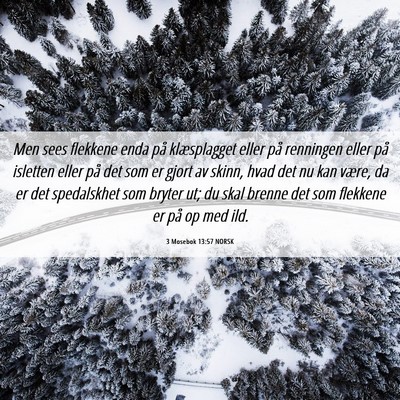 Picture 06 - 3 Mosebok 13:57 NORSK - Men sees flekkene enda på klæsplagget eller på - Bible Verse Picture
