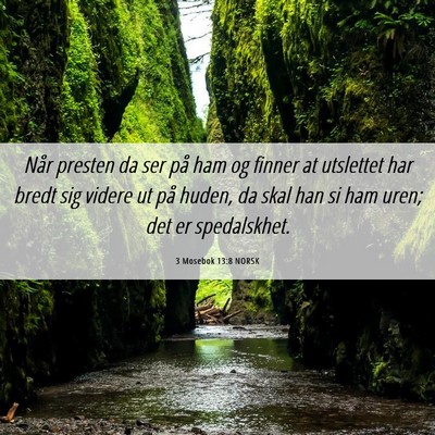 Picture 06 - 3 Mosebok 13:8 NORSK - Når presten da ser på ham og finner at - Bible Verse Picture